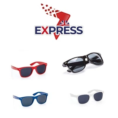 Express Promotional Renzo Sunglasses