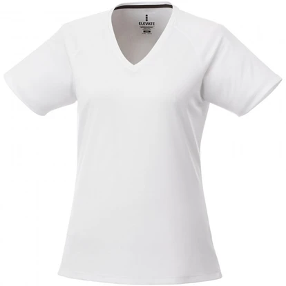 Amery short sleeve women's cool fit v-neck shirt