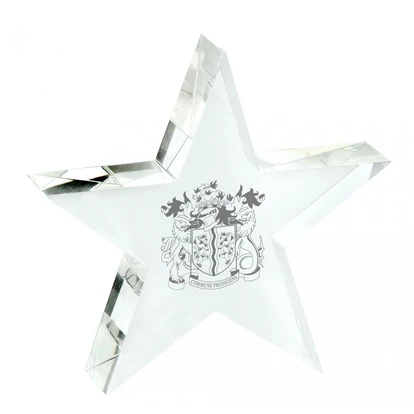 Small Optical Crystal Star Paperweight