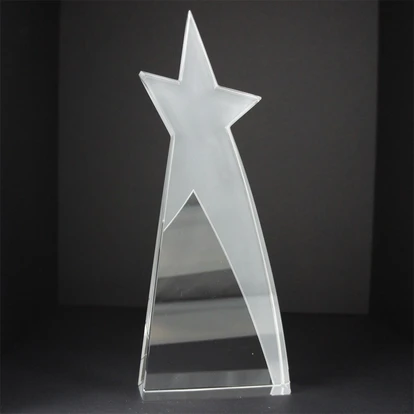 Medium Shooting Star Award