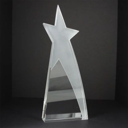 Large Shooting Star Award