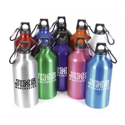 Pollock Sports Bottle 500ml