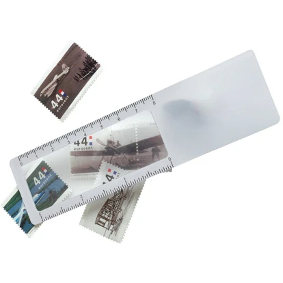 Ruler with magnifier