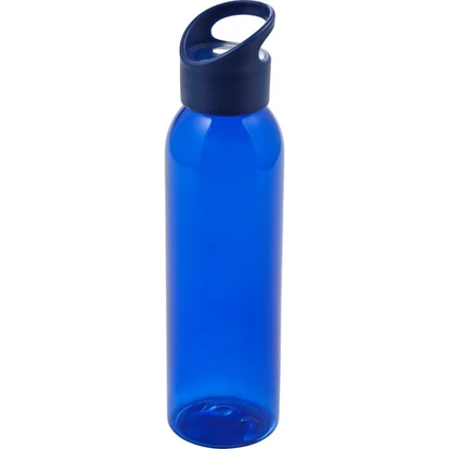 Water bottle (650ml)