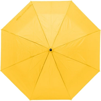 Umbrella with Shopping Bag