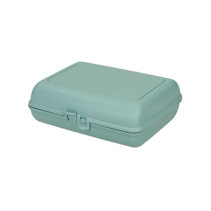 Switch Eco Lunchbox