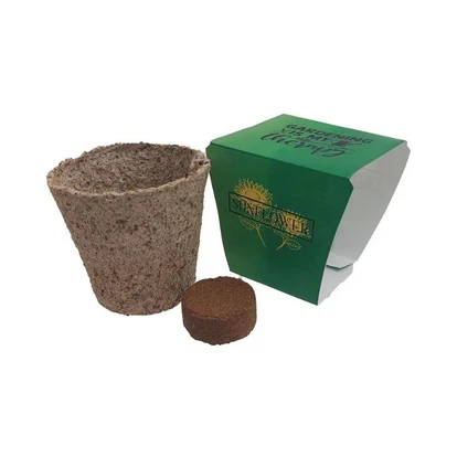 Coir Pot