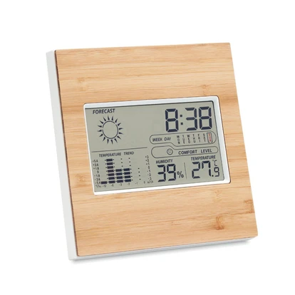 Weather Station Bamboo Front