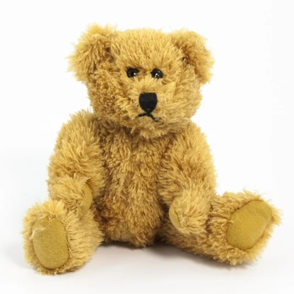 Sparkie Bear 20cm