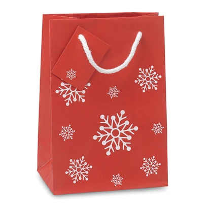 Snowflake Pattern Gift Paper Bag Small