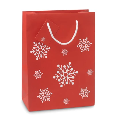 Snowflake Pattern Gift Paper Bag Medium