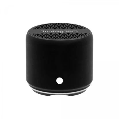 Levo Wireless Speaker