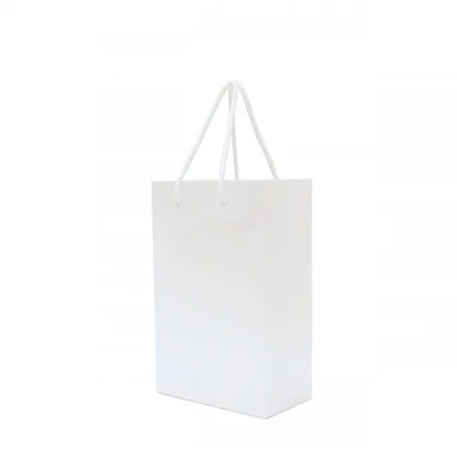 Walton A5 Gloss Laminated Paper Carrier Bag