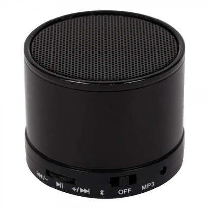 FM Wireless Bluetooth Speaker